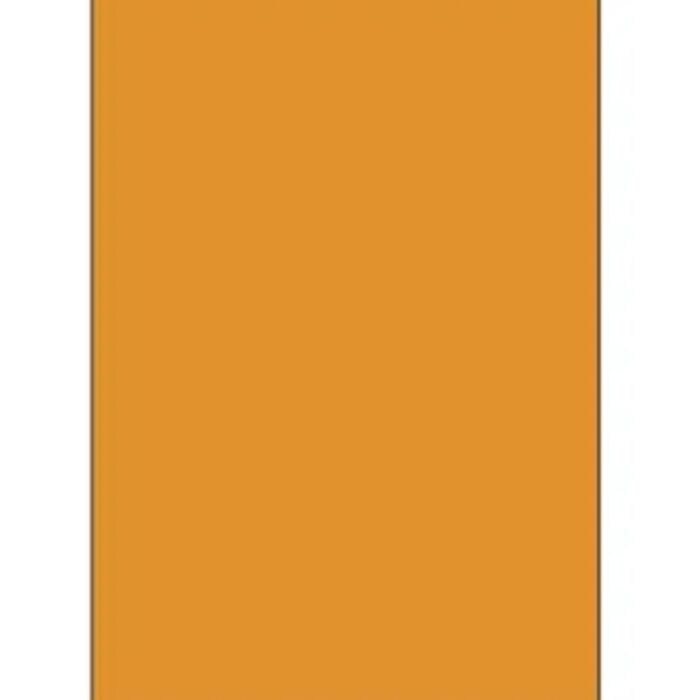 Blank 4" x 6" Rectangle Paper Label, Fluorescent Orange Thumbnail