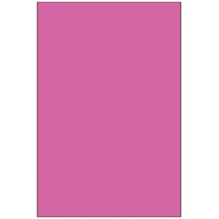 Blank 4" x 6" Rectangle Paper Label, Fluorescent Pink Thumbnail