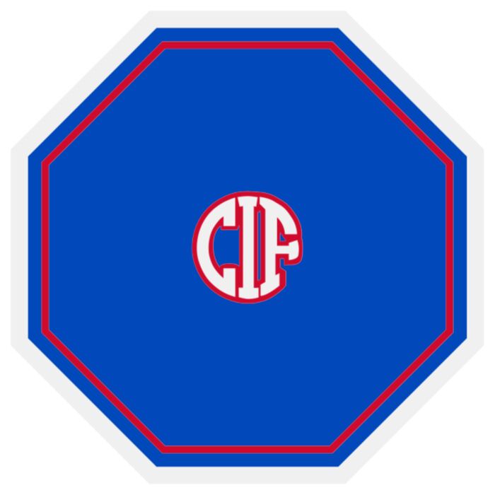 CIF OCTAGON PATCH Thumbnail
