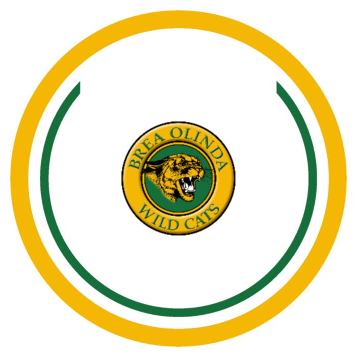 Sport Patch Brea Olinda Logo Thumbnail