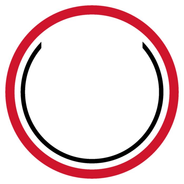 Sport Patch Burroughs/Burbank Sports Thumbnail