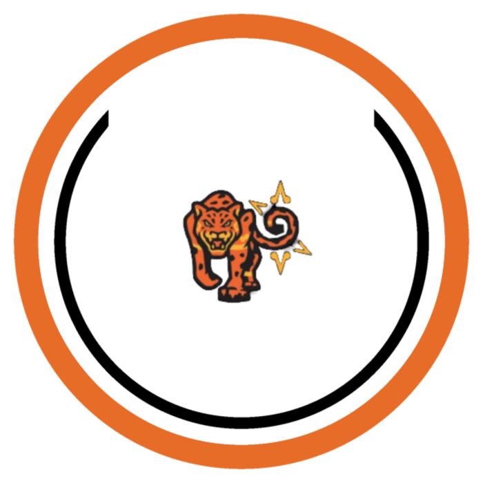 Sport Patch Del Sol Logo Thumbnail