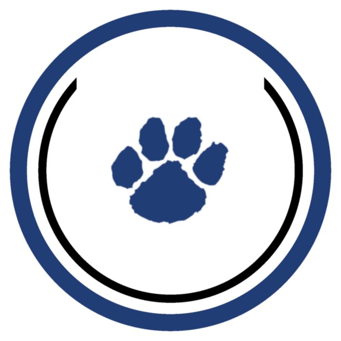 Sport Patch Loyola Logo Thumbnail