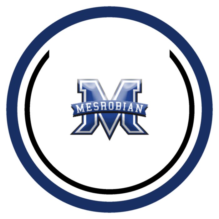 Sport Patch Mesrobian Logo Thumbnail
