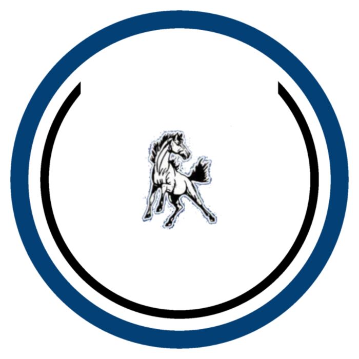 Shandon Logo Thumbnail