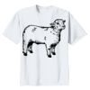 5000B - Youth Heavy Cotton™ 100% Cotton T-Shirt Thumbnail