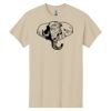 Heavy Cotton™ 100% Cotton T-Shirt Thumbnail