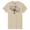 Heavy Cotton™ 100% Cotton T-Shirt Thumbnail