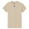 Heavy Cotton™ 100% Cotton T-Shirt Thumbnail