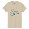 Heavy Cotton™ 100% Cotton T-Shirt Thumbnail