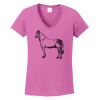 Ladies Heavy Cotton™ 100% Cotton V-Neck T-Shirt Thumbnail
