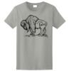 Ladies Ultra Cotton ® 100% Cotton T Shirt Thumbnail